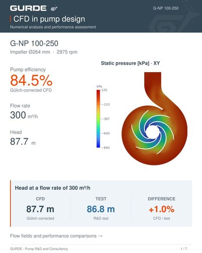 G-NP 100-250: CFD in pump design raporunun kapak sayfası